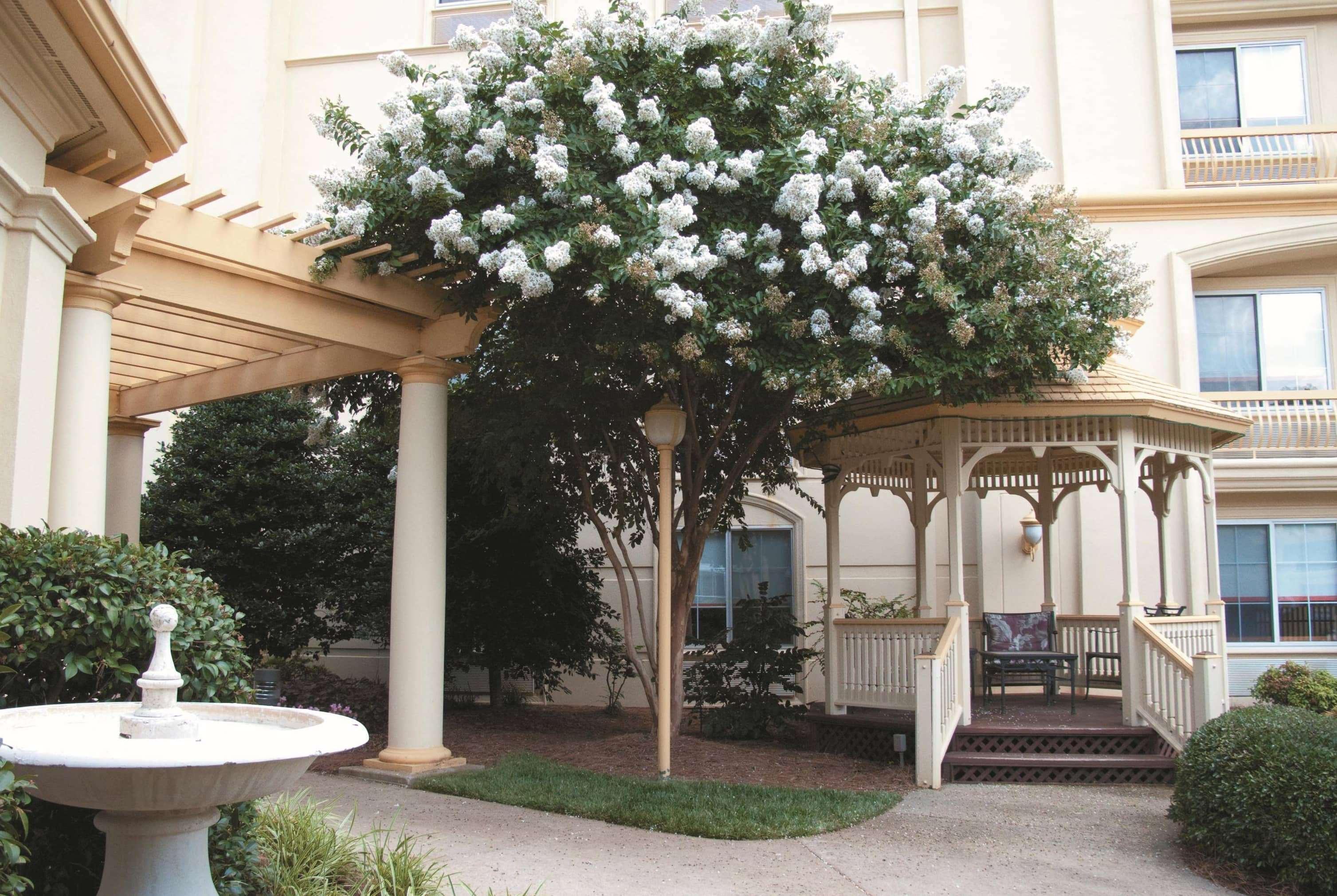Отель La Quinta By Wyndham Raleigh Crabtree Экстерьер фото